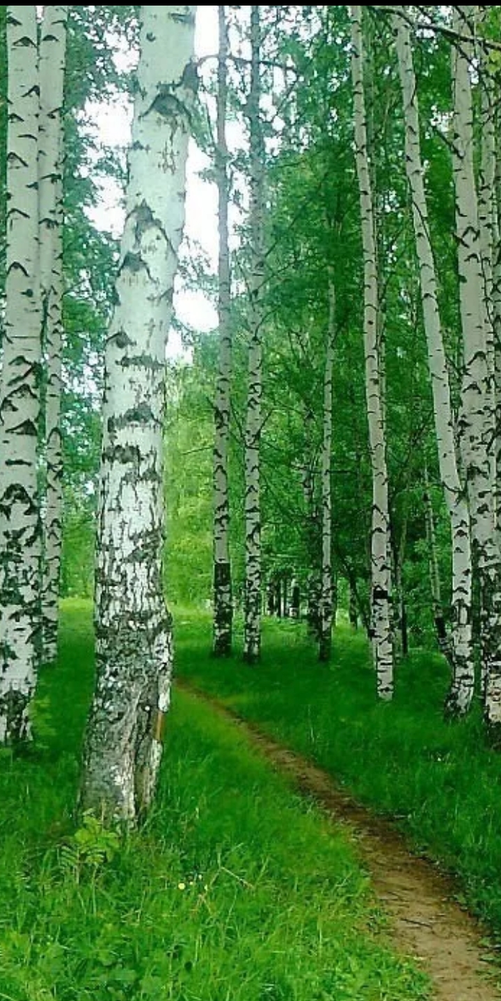 Фотографии.